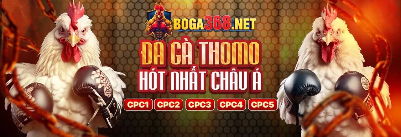 Các loại hình đá gà tại jj88 app